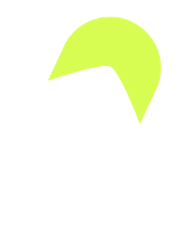 Robinhood.fun Icon
